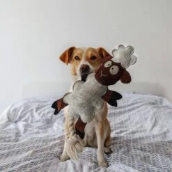 DUVO+ Farm Friends Sebastian Sheep 49cm -Heimtierbedarf Geschäft duvoplus farm friends sebastian sheep 49 cm web 3