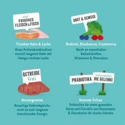 Edgard & Cooper Senior Frisches Huhn & Lachs -Heimtierbedarf Geschäft edgardcooper SeniorHuhnLachs 8