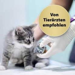 Felisept Home Comfort Raumdiffuser Set Für Katzen 45ml -Heimtierbedarf Geschäft felisept home comfort raumdiffuser set fur katzen 45ml 4