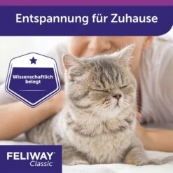 Feliway Classic Verdampfer 1 Monats-Nachfüllflakon 48ml -Heimtierbedarf Geschäft feliway classic verdampfer 1 monats nachfullflakon 48ml 5x8sDvI4DE5Fbo