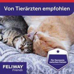 Feliway­­­ Friends Verdampfer Start-Set 48ml -Heimtierbedarf Geschäft feliway friends verdampfer start set 48ml 758x2ZgdegbYhk