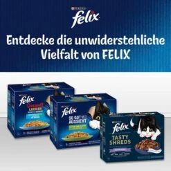 FELIX So Gut Wie Es Aussieht In Gelee Mit Lachs 15 FELIX So Gut Wie Es Aussieht In Gelee Mit Lachs -Heimtierbedarf Geschäft felix entdecke vielfalttWlHyAHoBiDdI