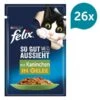 FELIX So Gut Wie Es Aussieht In Gelee Mit Kaninchen 1 FELIX So Gut Wie Es Aussieht In Gelee Mit Kaninchen -Heimtierbedarf Geschäft felix so gut wie es aussieht kaninchen gelee 26 1