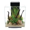 Fluval Aquarium Set Edge 2.0 46L -Heimtierbedarf Geschäft fluval aquarium set edge 20 46l schwarz 1