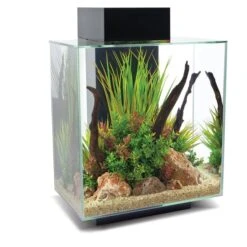 Fluval Aquarium Set Edge 2.0 46L -Heimtierbedarf Geschäft fluval aquarium set edge 20 46l schwarz 2