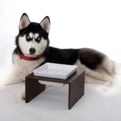 Replus Futterstation Meshidai Einzelnapf Schwarz - -Heimtierbedarf Geschäft futterstation meshidai einzelnapf schwarz lackiert2 152554d6ed592e