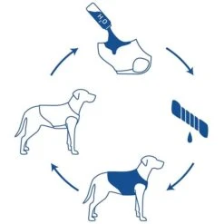 GF Pet ELASTOFIT Kühlweste 9 GF Pet ELASTOFIT Kühlweste -Heimtierbedarf Geschäft gfpet kuehlweste 4