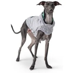 GF Pet Lodge Hoodie Grau