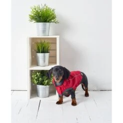 GF Pet Elastofit Regenmantel Rot 13 GF Pet Elastofit Regenmantel Rot -Heimtierbedarf Geschäft gfpet regenmantel rot 6