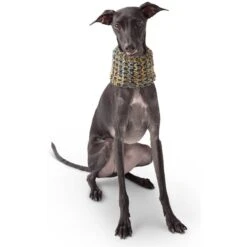 GF Pet Scout Schlauchschal Navy