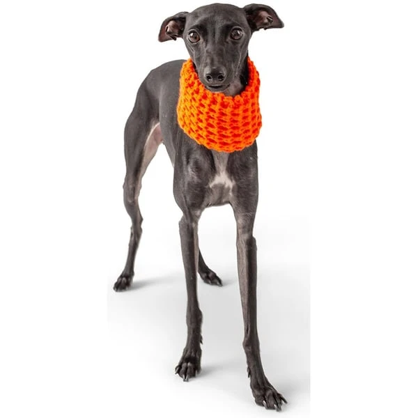 GF Pet Scout Schlauchschal Orange 3 GF Pet Scout Schlauchschal Orange