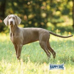 Happy Dog Supreme Fit & Vital Light -Heimtierbedarf Geschäft happy dog fit und vital light 6