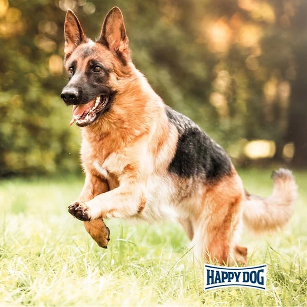 Happy Dog Supreme Fit & Vital Sport 14kg+1kg Gratis 8 Happy Dog Supreme Fit & Vital Sport 14kg+1kg Gratis – Bild 6