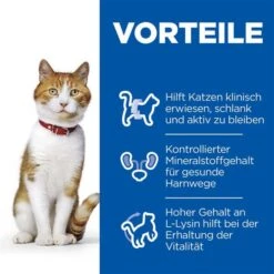 Hill's Science Plan Sterilised Young Huhn -Heimtierbedarf Geschäft hills science plan sterilised cat adult huhn 3kg 3