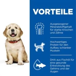 Hill's Science Plan Hund Large Breed Puppy Huhn 14,5kg -Heimtierbedarf Geschäft hills science plan hund large breed puppy huhn 14 5kg web 3
