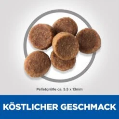 Hill's Science Plan Hund Large Breed Puppy Huhn 14,5kg -Heimtierbedarf Geschäft hills science plan hund large breed puppy huhn 14 5kg web 4