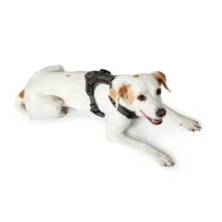 Hunter Geschirr Maldon Braun -Heimtierbedarf Geschäft hunter geschirr maldon braun 4