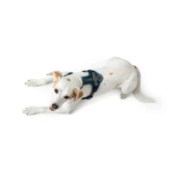 Hunter Geschirr Maldon Petrol -Heimtierbedarf Geschäft hunter geschirr maldon petrol 4