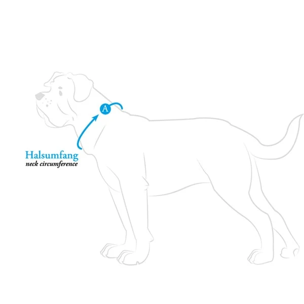 Hunter Halsband Aalborg Schwarz 8 Hunter Halsband Aalborg Schwarz – Bild 6