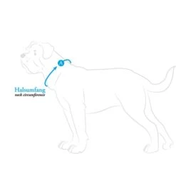 Hunter Halsung Divo Hellblau -Heimtierbedarf Geschäft hunter halsumfang608ac670c8f08