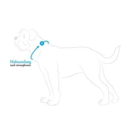 Hunter Halsung Divo Rot -Heimtierbedarf Geschäft hunter halsumfang608ac6d1ca864