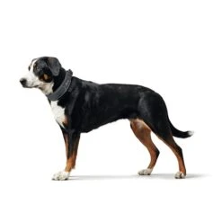 Hunter Halsung Divo Grau -Heimtierbedarf Geschäft hunter halsung divo 3