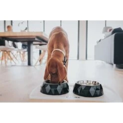 Hunter Napfunterlage Selection Transparent -Heimtierbedarf Geschäft hunter selection napfunterlage 2 stck transparent 3