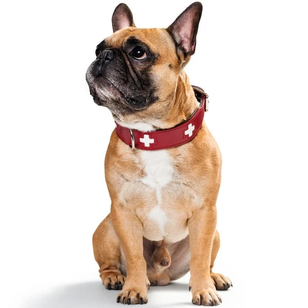 Hunter Swiss Halsband Rot/schwarz 5 Hunter Swiss Halsband Rot/schwarz – Bild 3