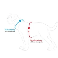 Hunter Geschirr Divo Grau -Heimtierbedarf Geschäft hunter umfang608ac6870b72e