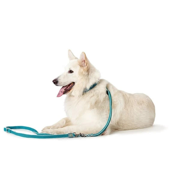 Hunter Verstellbare Führleine Hilo Braun 4 Hunter Verstellbare Führleine Hilo Braun – Bild 2