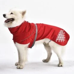 IEnergy LUN Hunderegenmantel -Heimtierbedarf Geschäft ienergy lun regenjacke 5