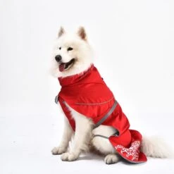 IEnergy LUN Hunderegenmantel -Heimtierbedarf Geschäft ienergy lun regenjacke 6