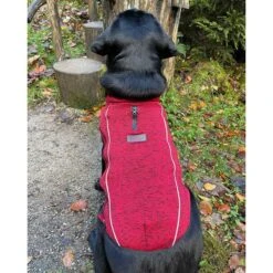 IEnergy OSC Isolierende Outdoor-Hundejacke -Heimtierbedarf Geschäft ienergy osc hundejacke 4