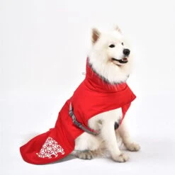 IEnergy JUD Hundewintermantel -Heimtierbedarf Geschäft ienergy wintermantel jud 5