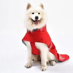 IEnergy JUD Hundewintermantel -Heimtierbedarf Geschäft ienergy wintermantel jud 6