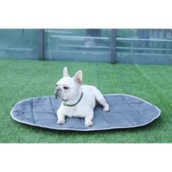 IEnergy BUR Hundematte -Heimtierbedarf Geschäft ienery hundematte bur 2