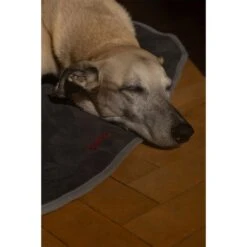 IEnergy BUR Hundematte -Heimtierbedarf Geschäft ienery hundematte bur 6