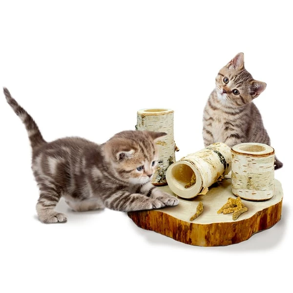 JR Farm Back To Instinct Cat Fun-Park 6 JR Farm Back To Instinct Cat Fun-Park – Bild 4