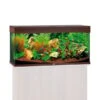 Juwel Rio 180 LED Komplett Aquarium Ohne Schrank 2 Juwel Rio 180 LED Komplett Aquarium Ohne Schrank -Heimtierbedarf Geschäft juwel Rio 180 led sbx ohne schrank dunkles holz58fe09c4a9a8f