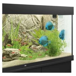 Juwel Motivrückwand Cliff Light -Heimtierbedarf Geschäft juwel motivruckwand cliff light 1