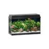 Juwel Aquarium Primo 110 Schwarz -Heimtierbedarf Geschäft juwel primo 110 schwarz verpackung aquarium589339db18d085da98f0cdb3be