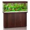 Juwel Rio 240 LED Komplett Aquarium Mit Unterschrank SBX 2 Juwel Rio 240 LED Komplett Aquarium Mit Unterschrank SBX -Heimtierbedarf Geschäft juwel rio 240 led sbx kombination dunkelbraun