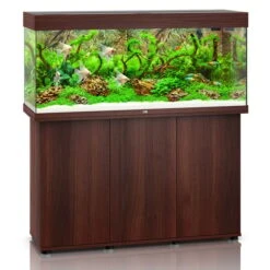 Juwel Rio 240 LED Komplett Aquarium Mit Unterschrank SBX