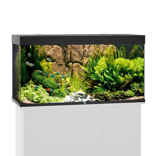 Juwel Rio 350 LED Komplett Aquarium Ohne Schrank 3 Juwel Rio 350 LED Komplett Aquarium Ohne Schrank