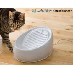 Lucky-Kitty Katzenbrunnen Aus Keramik, Weiß 15 Lucky-Kitty Katzenbrunnen Aus Keramik, Weiß -Heimtierbedarf Geschäft lucky kitty katzenbrunnen aus keramik weiss 3