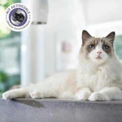 ZooRoyal Tigrooo Multi-Cat -Heimtierbedarf Geschäft multicat 2