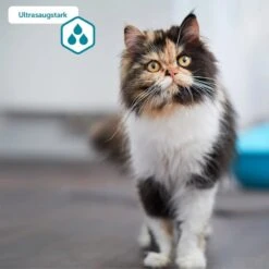 ZooRoyal Tigrooo Multi-Cat -Heimtierbedarf Geschäft multicat 3