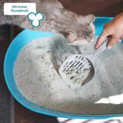 ZooRoyal Tigrooo Multi-Cat -Heimtierbedarf Geschäft multicat 5