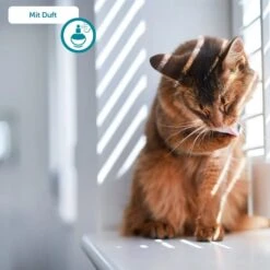 ZooRoyal Tigrooo Multi-Cat -Heimtierbedarf Geschäft multicat 7