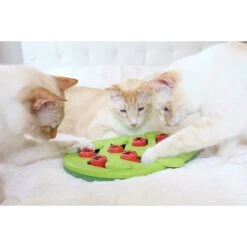 Nina Ottosson Puzzle & Play Buggin Out Intelligenzspielzeug -Heimtierbedarf Geschäft nina ottosson inteligenz spielzeug buggin out web 7